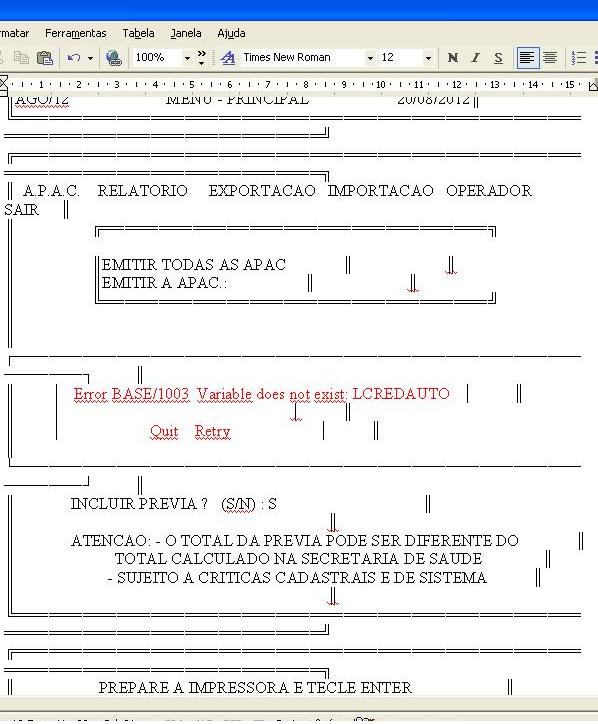 imagem ERRO APAC 2.JPG