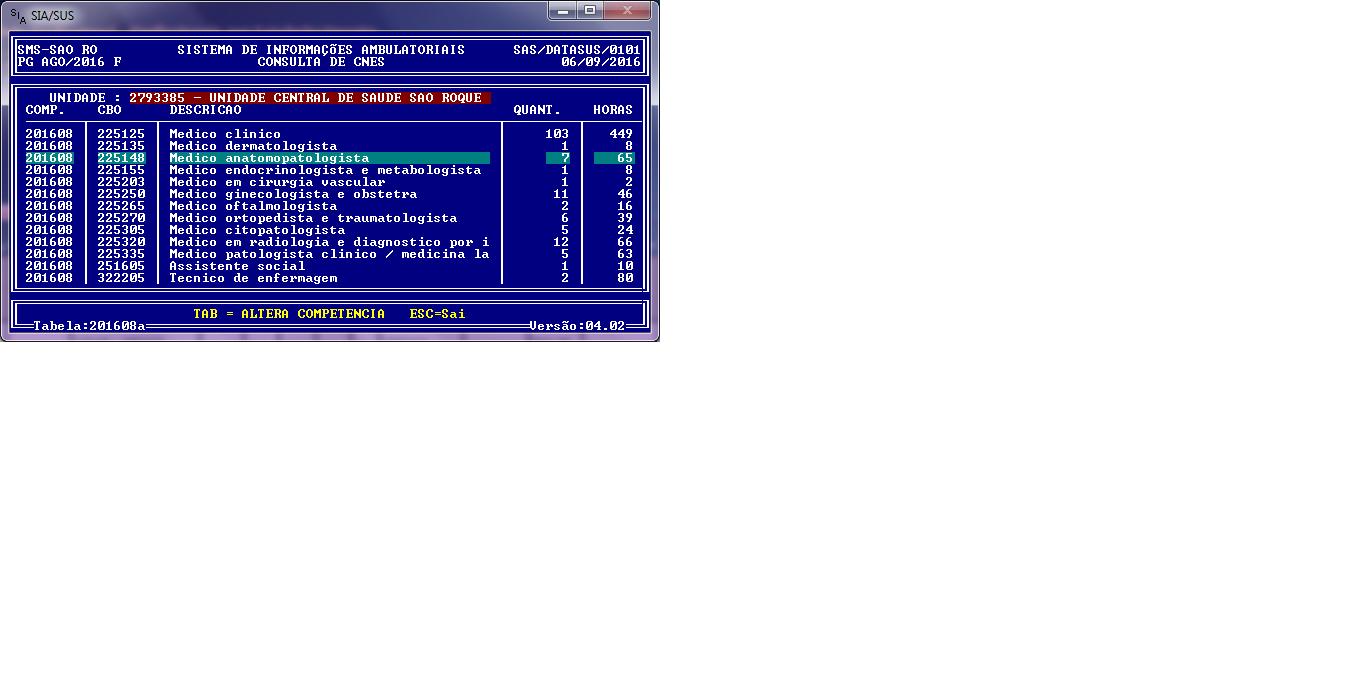 Consulta CNES SIA.png